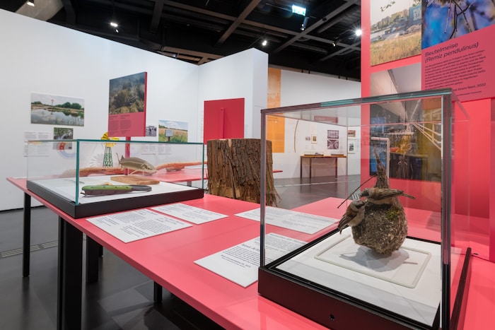 Die Leitfarbe Rot führt durch die Bedeutung der Insel für die Natur der Stadt.