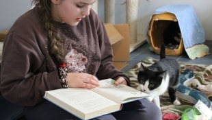 Der schwarz-weiße Tiger war angetan von der Aufmerksamkeit und der Lektüre. War es etwa das ...