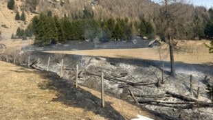 Der Flurbrand entwickelte sich großflächig. 1,1 Hektar sind betroffen.