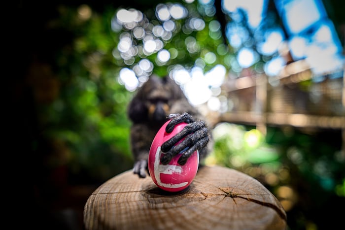 Auf jedem Ei steht ein Buchstabe