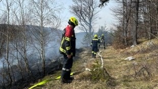 Neun Feuerwehren stehen aktuell am Schöckl im Einsatz