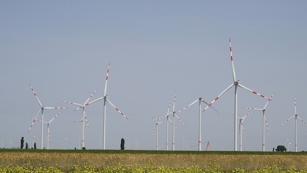 Alleine auf der Parndorfer Platte stehen mehr als 200 Windräder.