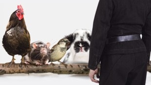 Ein 58-Jähriger in Ledermontur soll verstörende Videos in einer einschlägigen WhatsApp-Gruppe ...