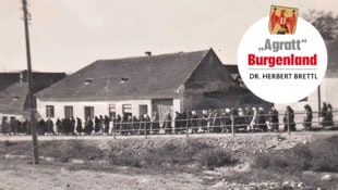 Romnja auf dem Weg aus dem Lager Lackenbach zur Zwangsarbeit 