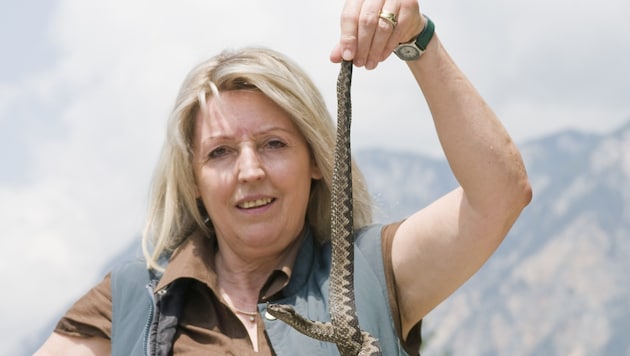 Helga Happ mit einer Otter, deren „Verwandte“ jüngst in Magdalensberg zugebissen haben dürfte.