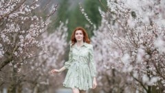 Blütenweiß wird vielerorts von Schneeweiß abgelöst. . .