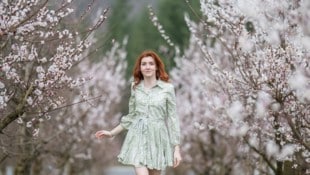 Blütenweiß wird vielerorts von Schneeweiß abgelöst. . .