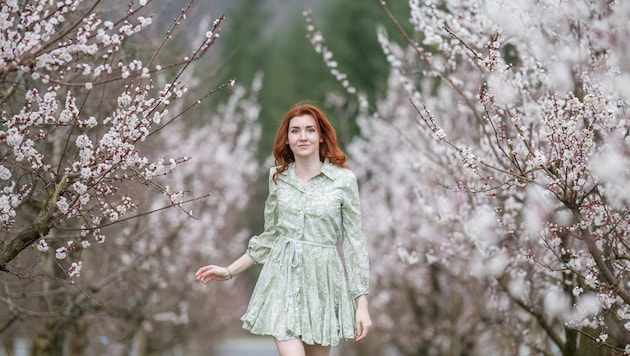 Blütenweiß wird vielerorts von Schneeweiß abgelöst. . .