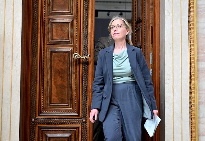 Die Grünen hatten gegen Mittag ihre Zustimmung angekündigt. Überzeugt war Bundesparteisprecherin ...