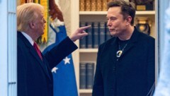 In den ersten Monaten von Trumps zweiter Amtszeit gehörte Musk zu den engsten Vertrauten des ...