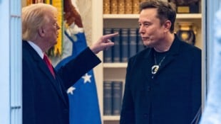 In den ersten Monaten von Trumps zweiter Amtszeit gehörte Musk zu den engsten Vertrauten des ...