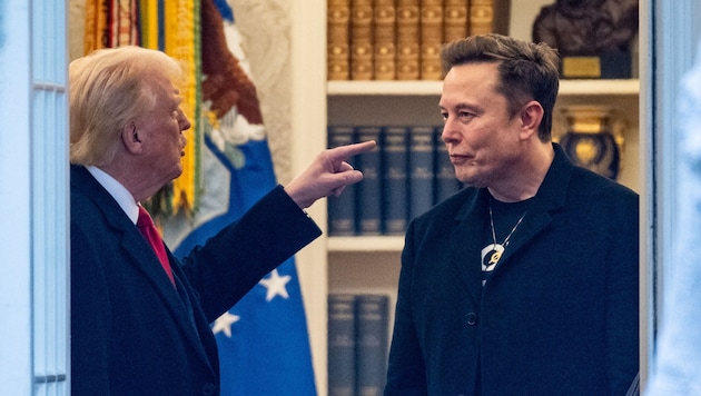 In den ersten Monaten von Trumps zweiter Amtszeit gehörte Musk zu den engsten Vertrauten des ...