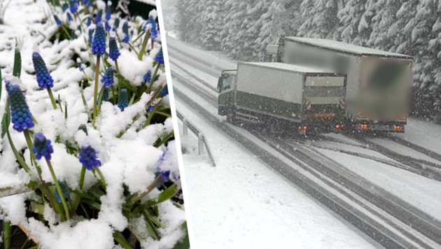 Dem Frühlingserwachen im Garten kommt Schnee in die Quere. Da und dort kam es zu Problemen im ...