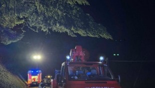 Ein Baum drohte im Bezirk St. Veit auf die Straße zu stürzen. 