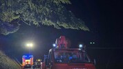 Ein Baum drohte im Bezirk St. Veit auf die Straße zu stürzen. 