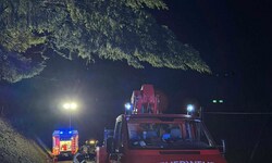 Ein Baum drohte im Bezirk St. Veit auf die Straße zu stürzen. 
