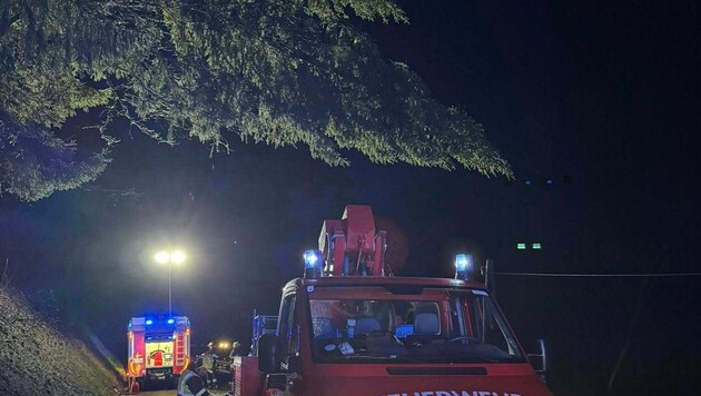 Ein Baum drohte im Bezirk St. Veit auf die Straße zu stürzen.