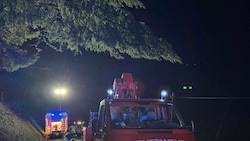 Ein Baum drohte im Bezirk St. Veit auf die Straße zu stürzen. 