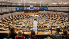 Das EU-Parlament hat am Donnerstag in Brüssel seine Position zur EU-Rückführungsrichtlinie ...