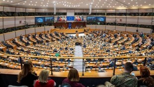 Das EU-Parlament hat am Donnerstag in Brüssel seine Position zur EU-Rückführungsrichtlinie ...