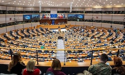 Das EU-Parlament hat am Donnerstag in Brüssel seine Position zur EU-Rückführungsrichtlinie ...