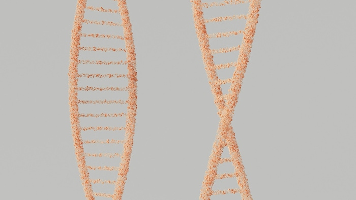 Longevity – nicht nur eine Frage der DNA