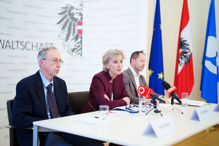 In einer Pressekonferenz am Donnerstag legte die Volksanwaltschaft mit Peter Kastner, Gaby ...