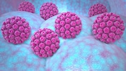 Humane Papillomviren (HPV) können bei Frauen und Männern gefährliche Erkrankungen auslösen.
