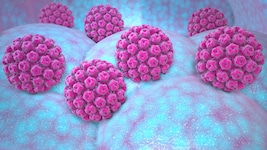 Humane Papillomviren (HPV) können bei Frauen und Männern gefährliche Erkrankungen auslösen.