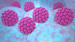 Humane Papillomviren (HPV) können bei Frauen und Männern gefährliche Erkrankungen auslösen.