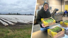 Gemeinsam mit Bruder Richard führt Stefan Malafa einen Bio-Spargel-Betrieb.