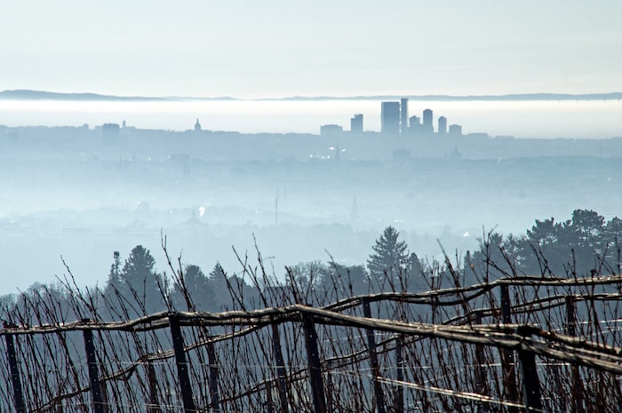Auch in der kommenden Woche bleibt das Wetter wechselhaft.