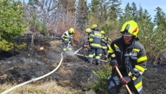 Mehr als zehn Feuerwehren und weitere Einsatzorganisationen kämpften am Mittwoch in unwegsamem ...