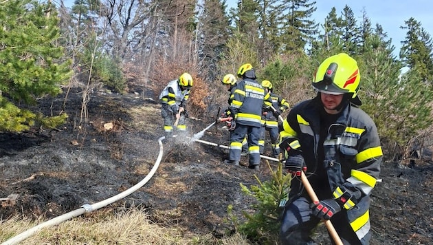 Mehr als zehn Feuerwehren und weitere Einsatzorganisationen kämpften am Mittwoch in unwegsamem ...
