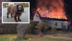 Ein Wohnhaus ging in Flammen auf – Hündin „Asta“ gab nicht nach und verhinderte so wohl ...