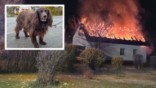 Ein Wohnhaus ging in Flammen auf – Hündin „Asta“ gab nicht nach und verhinderte so wohl ...