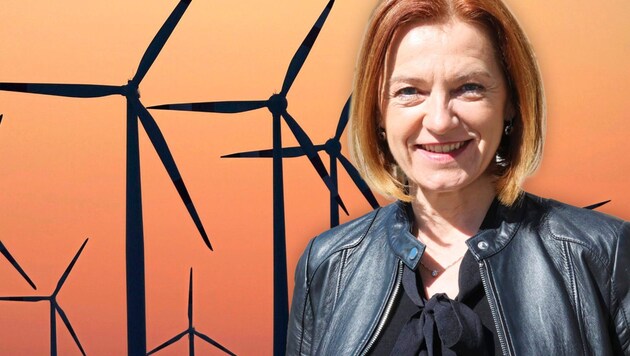 Simone Schmiedtbauer glaubt, dass die Energieziele für die Steiermark erreichbar sind.