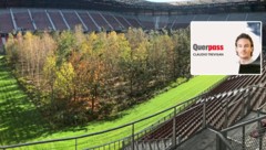 Claudio Trevisan, Sportchef der „Kärntner Krone“, durchleuchtet in dieser Kolumne das Kärntner ...