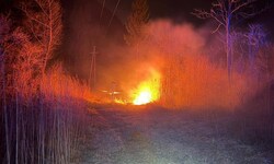 Kräftige Windböen sorgen für Einsätze in Kärnten. 