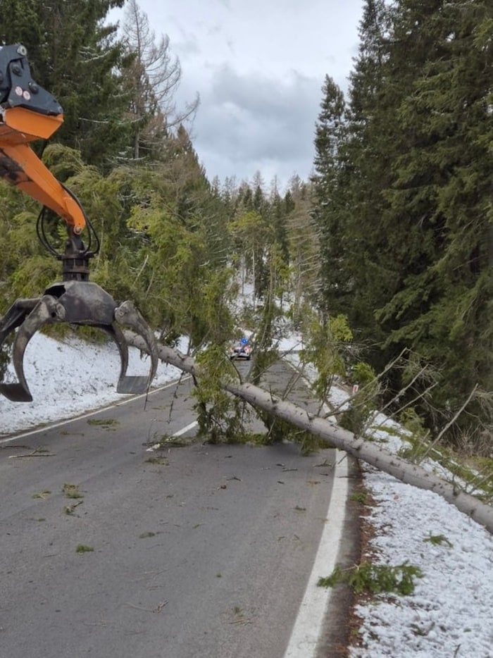 Auf der Gaberlbundesstraße im Bezirk Murtal stürzten mehrere Bäume um.