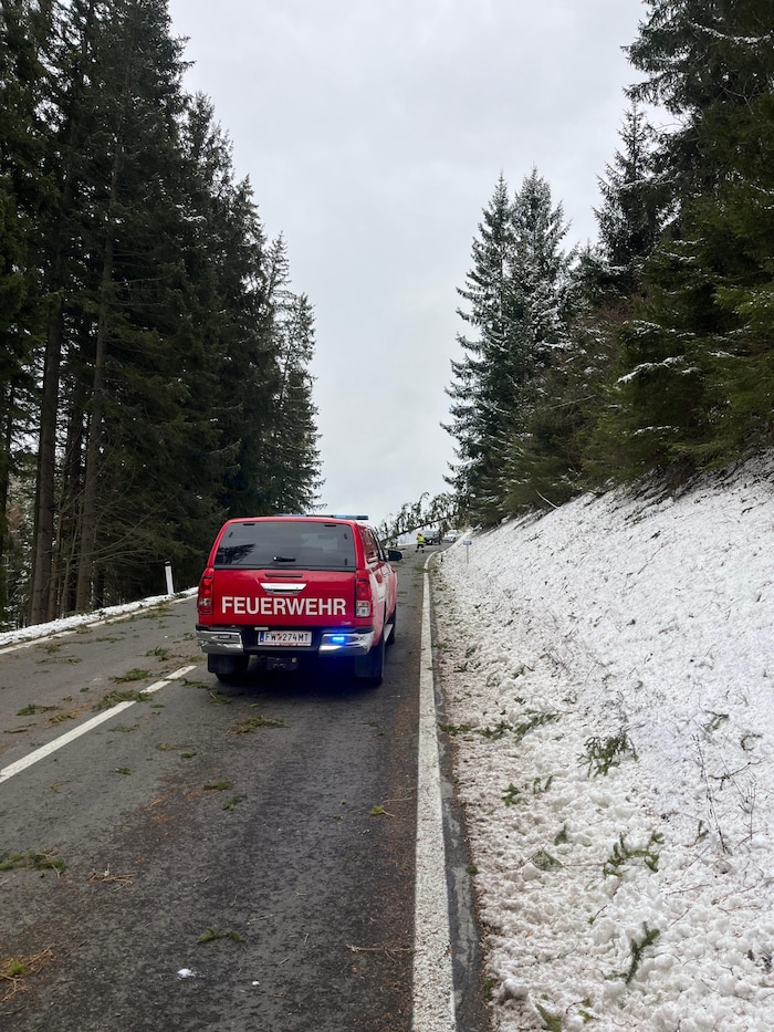 Auf der Gaberlbundesstraße im Bezirk Murtal stürzten mehrere Bäume um.