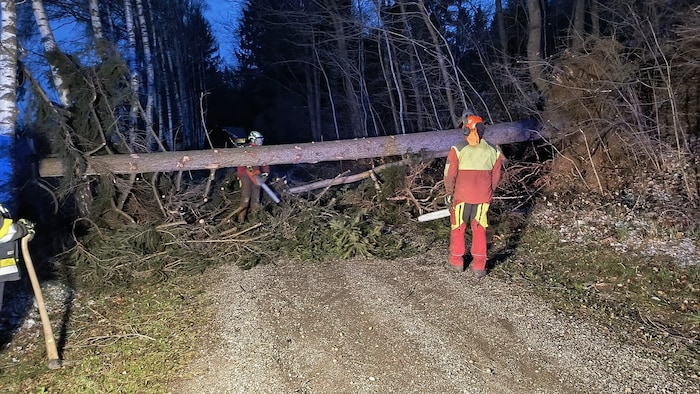 Auch die Feuerwehr St. Lorenzen am Wechsel ist mit Aufräumarbeiten beschäftigt.