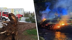 Heftige Sturmböen brachten zahlreiche Bäume zu Fall, mit teils schweren Folgen.