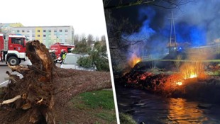 Heftige Sturmböen brachten zahlreiche Bäume zu Fall, mit teils schweren Folgen.