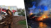 Heftige Sturmböen brachten zahlreiche Bäume zu Fall, mit teils schweren Folgen.