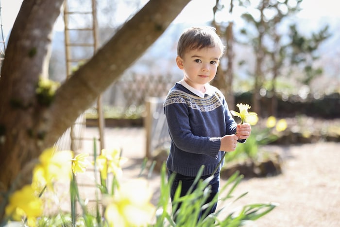 Mit einer Narzisse in der Hand schaut François besonders lieb, aber auch etwas skeptisch in die ...