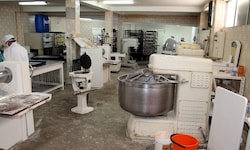Die Behörden stellten massive hygienische Mängel in einer Wiener Bäckerei fest, unter anderem ...
