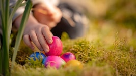 Das Verstecken und Suchen der Ostereier eignet sich hervorragend für ein Fitness-Workout.