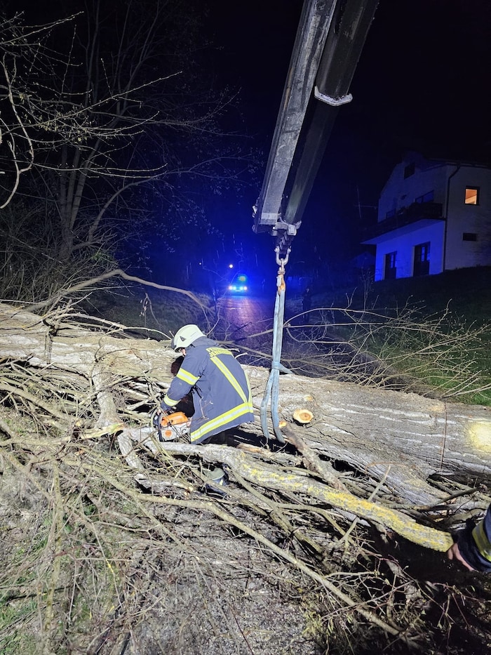 In Jennersdorf riss ein Baum einen Telefonmasten um.