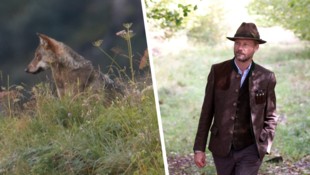 Salzburgs Landesjägermeister Max Mayr-Melnhof wählte bei einem Vortrag heftige Worte: „Wenn ein ...